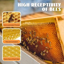 30Pcs Beekeeping Bee Wax Nest Bed Beeswax Sheets Honeycomb Foundation Sheets Set