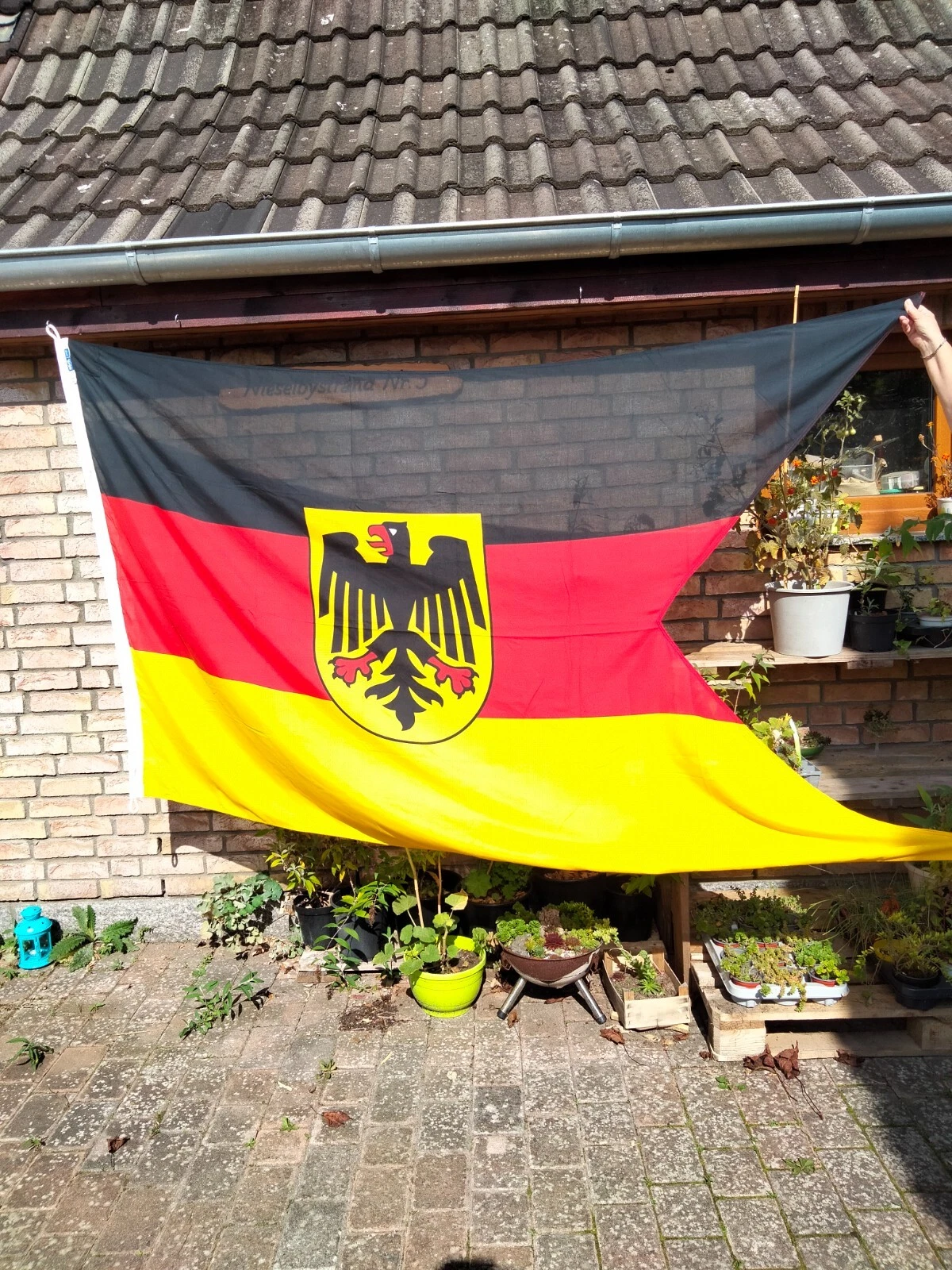 Bild 1 von 10