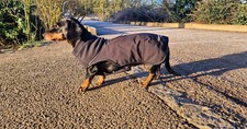 Hugo And Hudson Thermal Self Heating Dog Jacket - Black S35