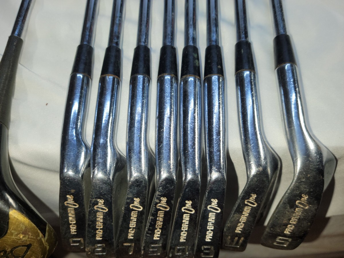 Complete Set of vintage men's Rh set bruce pro gram one golf clubs