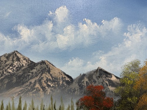 Bob Ross style landscape oil painting “Natural Wonder Mountain” 16x20 In - Picture 5 of 7