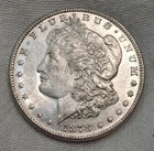 1878 S Morgan Silver Dollar, Possible Spike Eye, Unexamined