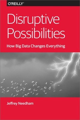 Disruptive Possibilities: How Big Data Changes Everything (Paperback or Softback