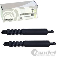 2X Original BMW Gasfeder Kofferraum Heckklappe Passend FüR BMW 5Er E39 Touring