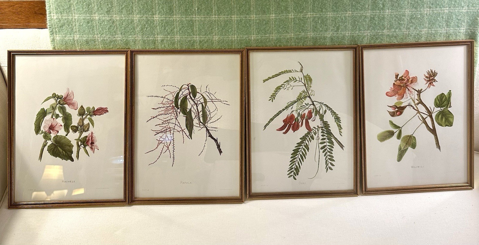 RARE Set 4 Framed Indigenous Flowers of the Hawaiian Islands Isabella Sinclair