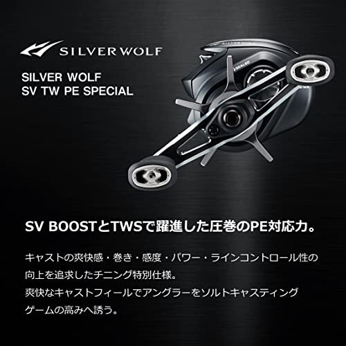 Daiwa Fishing Bait Reel 22 Silver Wolf SV TW 1000XH PE Special