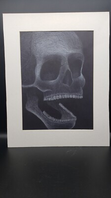 Hand-Drawn White Pencil on Black Paper Skull ''Too Many Teeth'' Matted 12x15.5