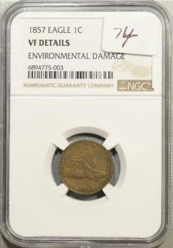 1857 Flying Eagle Cent NGC VF Details #5-003