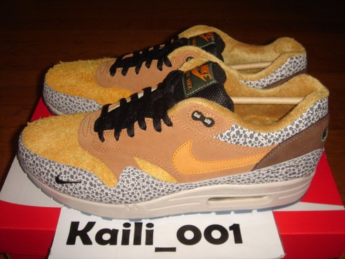 am1 safari