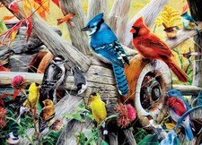 MasterPieces Backyard Birds 1000 Piece Jigsaw Puzzle