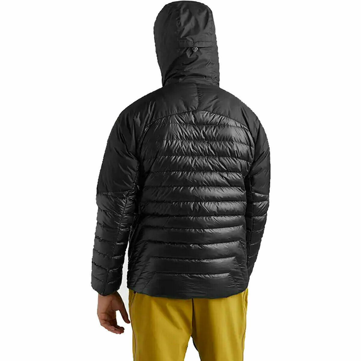 helium down hooded jacket Black 