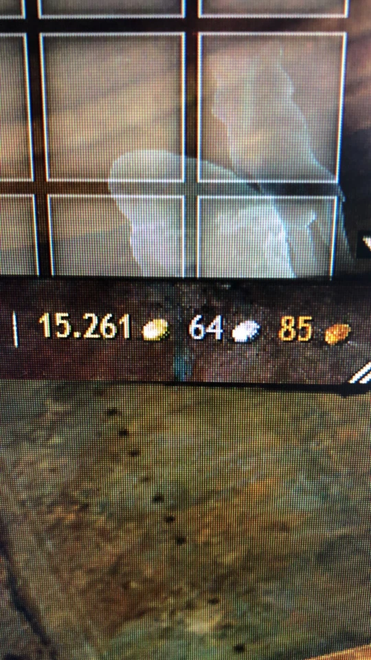 Guild Wars 2 500 Gold / GW2 Gold / Guildwars 2 Gold