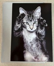 Happy Birthday Card w/ Envelope ~ Funny