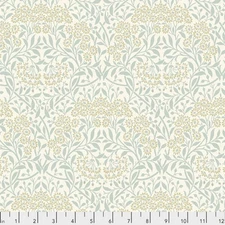 Michaelmas Daisy in Ivory | The Classics | Free Spirit