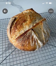 236yo Authentic San Francisco Sourdough Starter Directly From The Bakery In SF