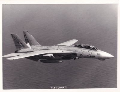 Grumman F-14 Tomcat Antenne 8,5x6,5 Schwarzweiß Foto 