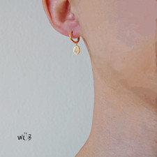 Classic North Star Hoop Earrings: Everyday Earrings  Gifts For Her