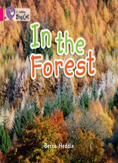 In the Forest: Band 01B/Pink B (Collins Big Cat) by Collins Big Cat (PB 2011) - Image 4