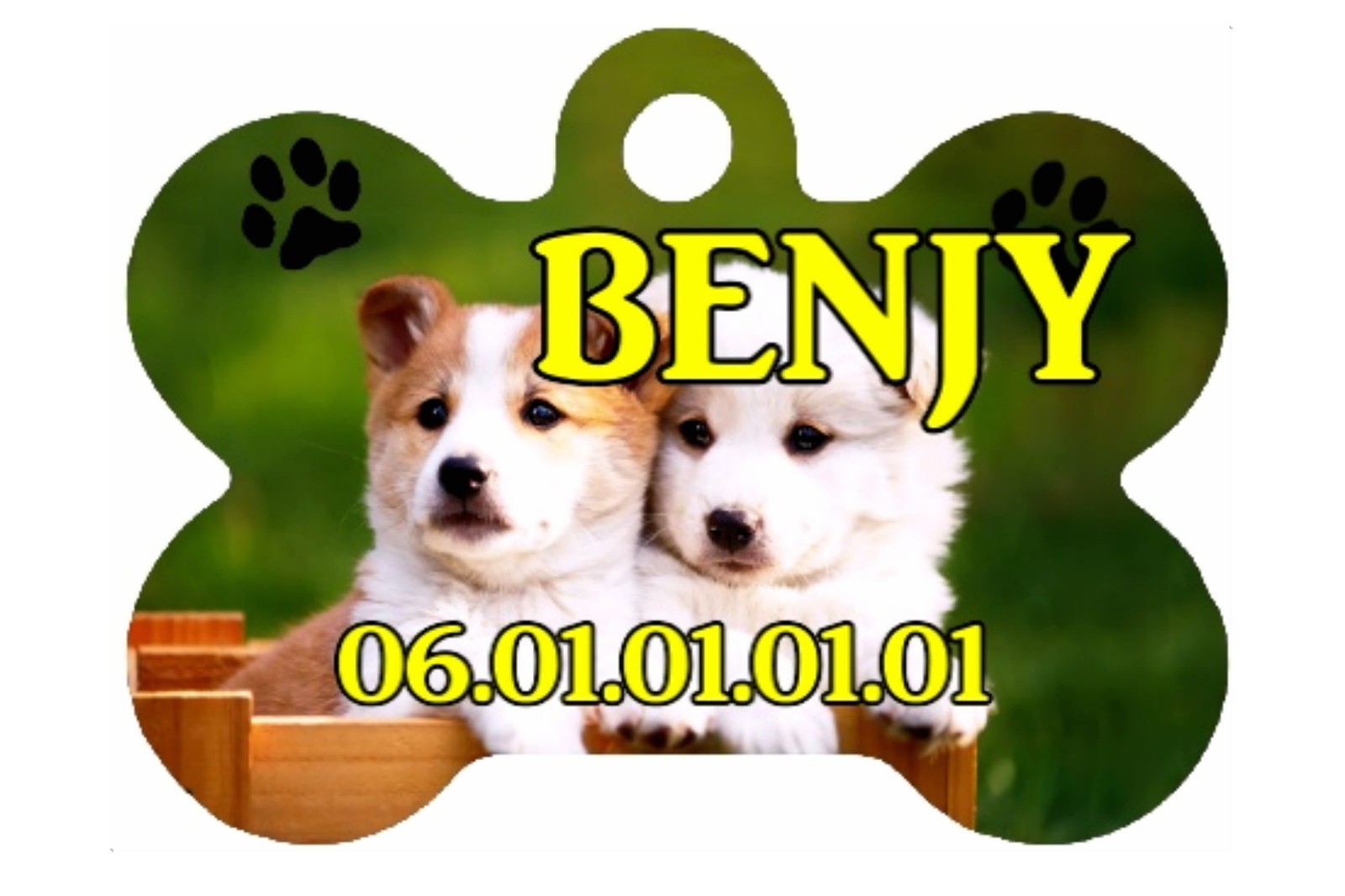 MEDAILLE POUR CHIEN PERSONNALISEE Avec Nom Et N De T l phone R f 60 EBay medaille-pour-chien-personnalisee-avec-nom-et-n-de-t-l-phone-r-f-60-ebay