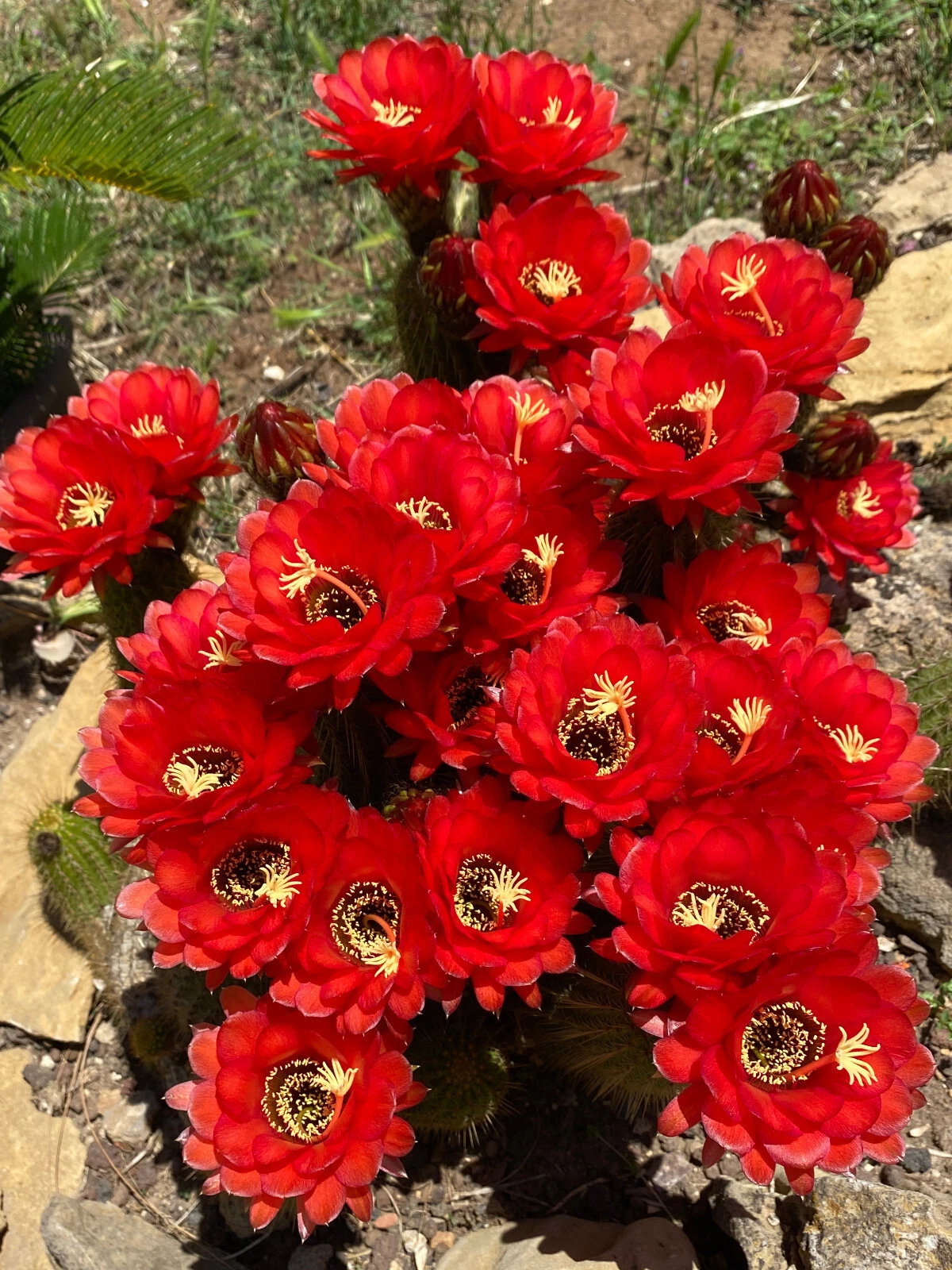 Foto 1 di 5