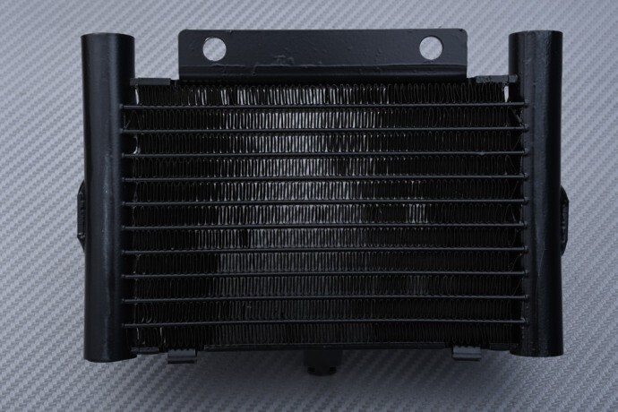 Radiateur d'huile type origine pour Harley Davidson Road King FLHRC 2017-2022
