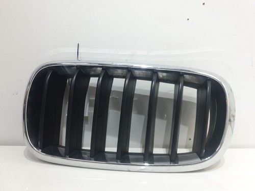 BMW X5 F15 2012-2018 Stoßstange Gitter vorne 7316075
