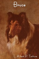 Albert Payson Terhune | Bruce | Taschenbuch | Englisch (2011)