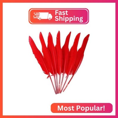 50pcs Red Feathers 10~12 inches,Beautiful Bulk Long Feather for Crafts（26-31CM）,