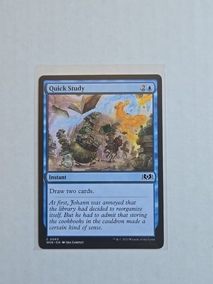 Quick Study - Wilds of Eldraine - LP - Common - Instant