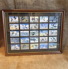 Collection of 25 John Player & Sons &ldquo;Wild Fowl&rdquo; cigarette cards. Framed. VGC