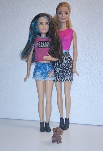 Barbie Skipper doll & puppy DNB27 + Barbie doll CFN43