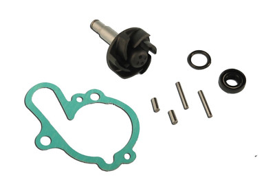 Malaguti Drakon NKD 50 (AM6) 2005 2006 2007 Water Pump Repair Kit