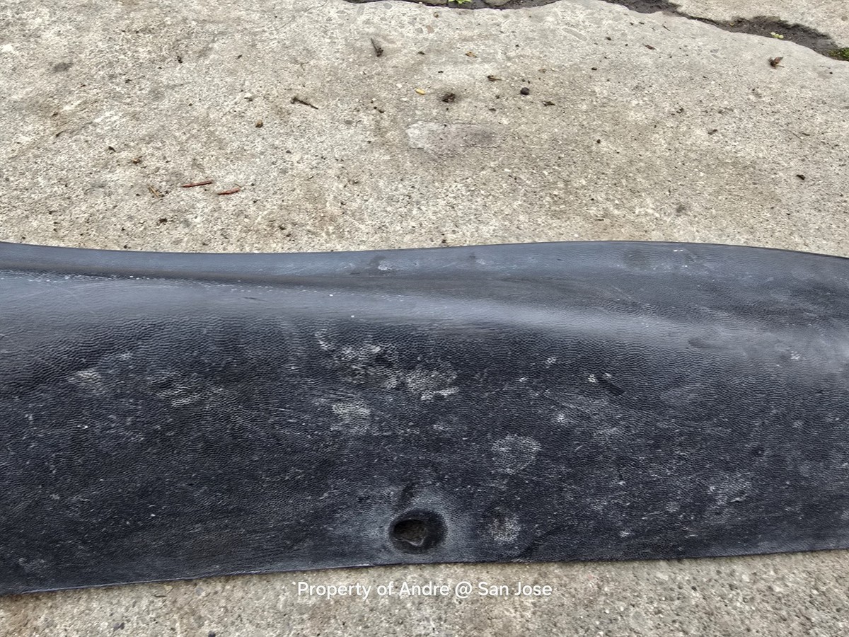 Ford YC3Z78292A23AAA Genuine OEM Stone Deflector for sale online
