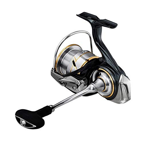 Daiwa LT4000-C 20 Luvias Spinning Reel (2020 Model)NEW | eBay
