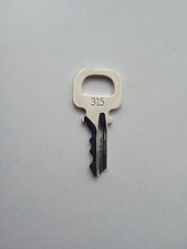 Louis Vuitton Key Number 315