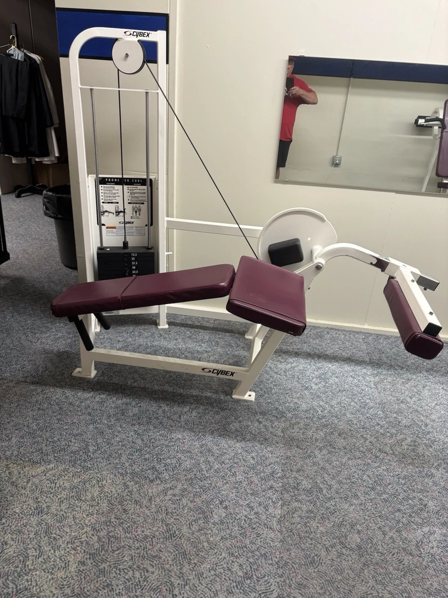 Cybex Gym & Training Strength Training Equipment for sale | eBay