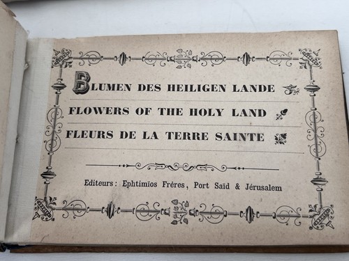 Rare 1911 Flowers of the Holy Land Olive Wood Jerusalem Book + Envelope - Imagen 7 de 19