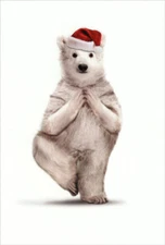 Zoo Yoga Polar Bear Humorous  Funny Nobleworks Christmas Card