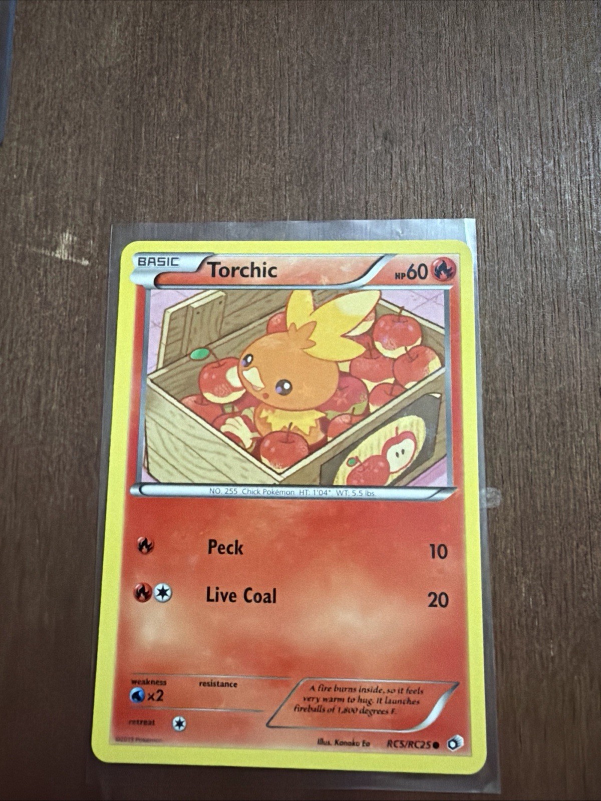 Torchic RC5/RC25 Legendary Treasures Radiant Collection Common Card NM