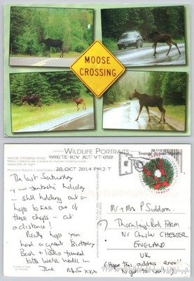 c42755 Moose Crossing Road Vermont USA Postkarte 2014 Stempel