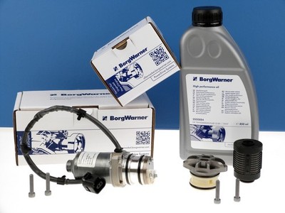 BORGWARNER Vorladepumpe Filter Öl Set Haldex Gen IV Lamellenkupplung 0AY598549A