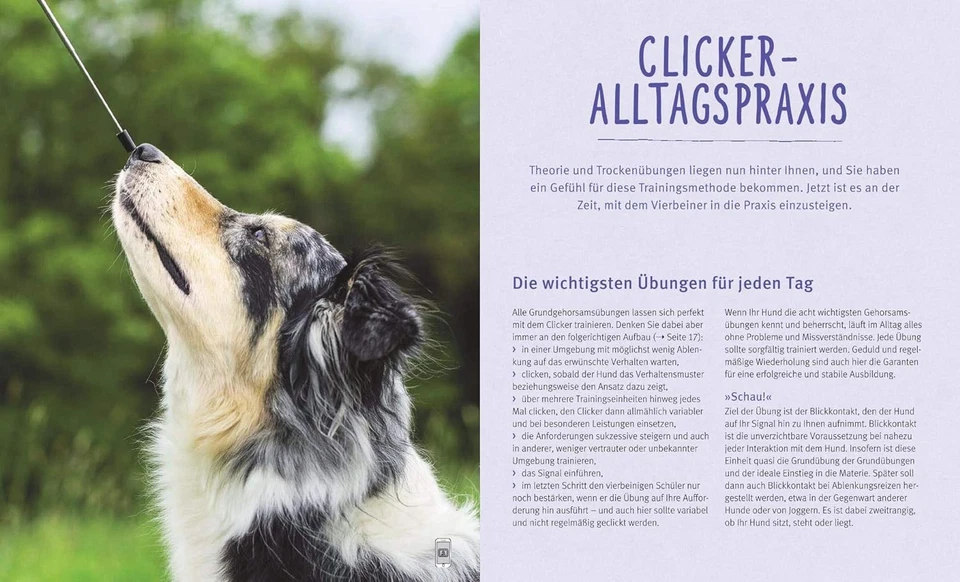 Katharina Schle Hunde-Clickertraining: So klappt der Tri (Paperback) (UK IMPORT) Foto 2 de 4