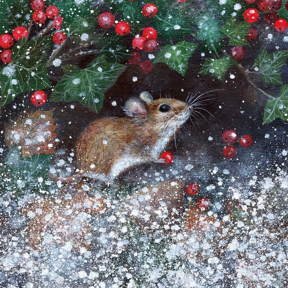 MUSEUMS & GALLERIES Winter Mouse by Lucy Grossmith Pack of 8 Christmas Cards