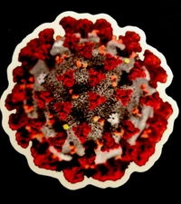VIRUS STICKER 2020 “THE REAL VIRUS” 2 1/2” ROUND