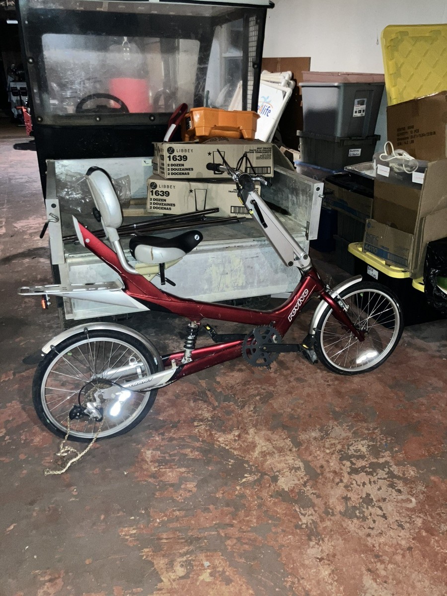 GIANT リヴァイブ 自転車 GIANT REVIVE DX Semi Recumbent Bicycle Grey | eBay