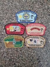 Theodore Roosevelt Council 90th Anniversary Patch Set (5) - Mint
