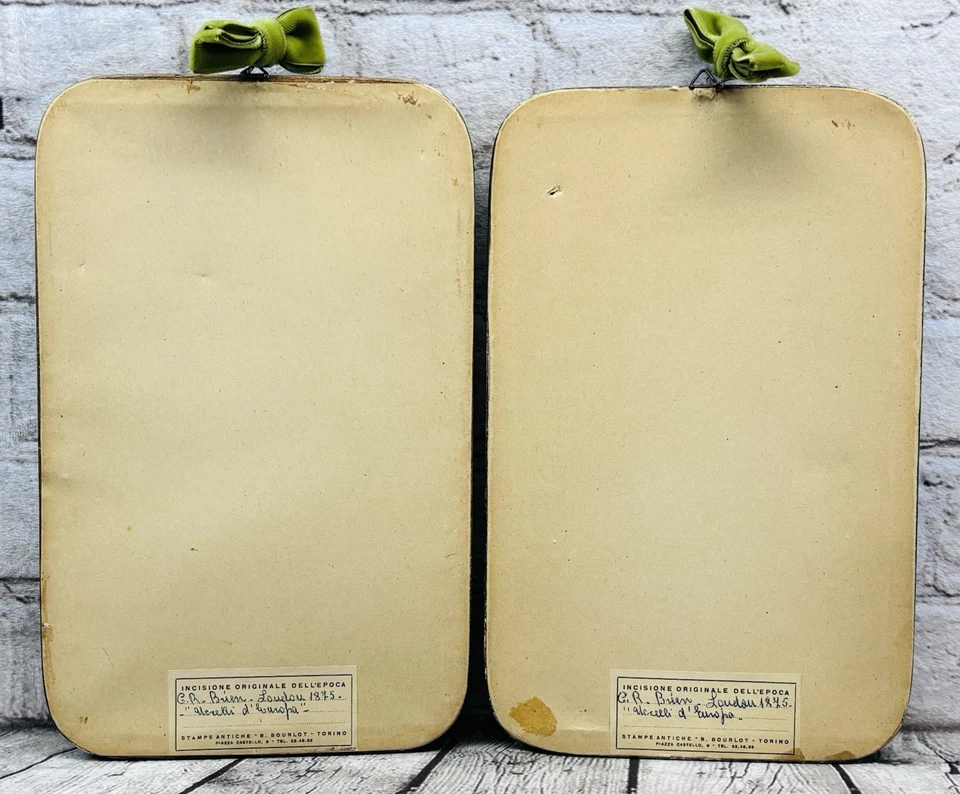 Vintage Framed Bird Prints Grosbeak & Warbler Set 10x6.25” Ornithology Art - Image 3 of 4