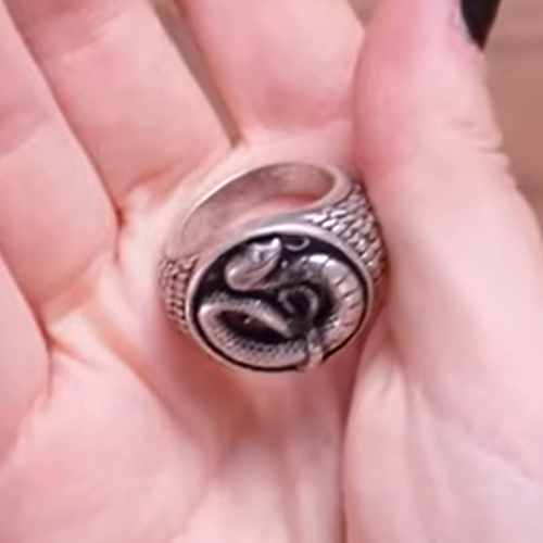 Wizarding Trunk Harry Potter Love to Hate Malfoy Family Crest Ring Size 9 NIP - Picture 4 of 4