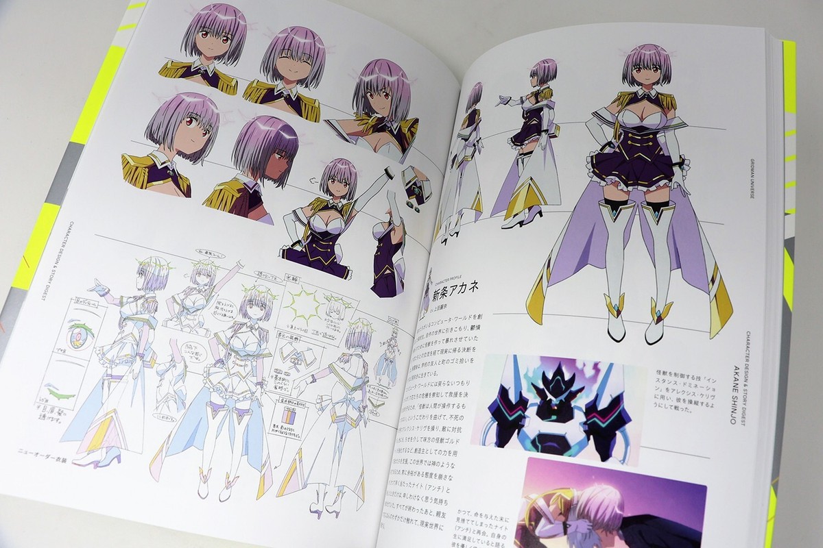 Gridman Universe Heroine Archive Art Book Anime SSSS Dynazenon | eBay