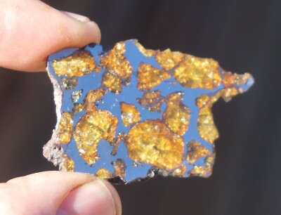 SUPERB 11.8g IMILAC PALLASITE METEORITE FULL SLICE w/ GLOWING OLIVINE CRYSTALS!